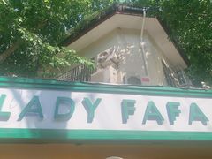 -LADY FAFA(巨鹿路陕西南路路口店)