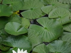 -宁波九龙湖开元度假村