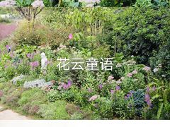 -思念果岭悦温泉