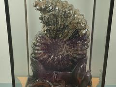 -甘肃地质博物馆