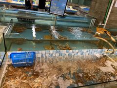 水产区-宝燕海货工场(长江国际店)