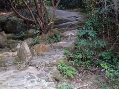 -水濂山森林公园