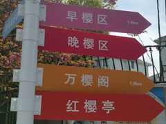 -高东镇樱花园