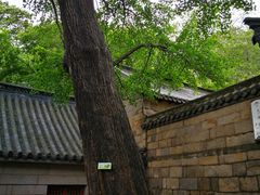 -青岛崂山太清宫