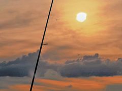 -深圳海钓·深圳钓鱼·拓展聚会鱼排