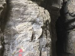 -武陵山森林公园