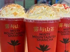 -雾与山茶(大禹城店)