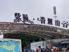 -紫颐香薰山谷景区