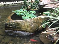 -观澜山水田园