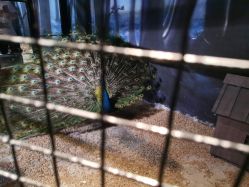 -酷嗒动物文化乐园(cutezoo西溪乐天城店)