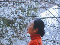-秀丽东方