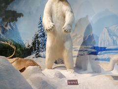 -陕西自然博物馆