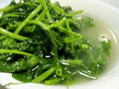 冒豌豆尖-王记老幺肥肠粉