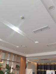 -碧莲盛·不剃发植发