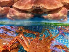 -驻海渔市(置信店)