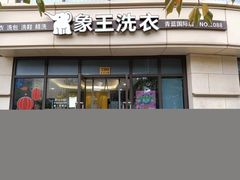 -象王洗衣(青蓝国际店)
