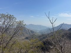 -大岭沟猕猴桃谷风景区
