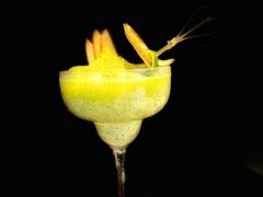 -blue frog蓝蛙(长泰广场店)