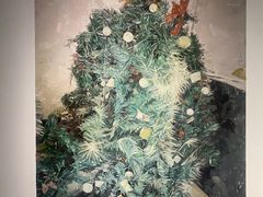 -上海宝龙美术馆