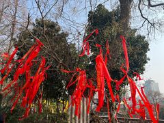 -宝通禅寺