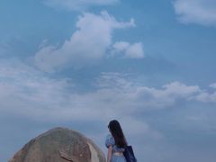 -广东惠东海龟国家级自然保护区