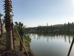 -枫香湖儿童公园