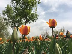 -长春公园(普阳街道)