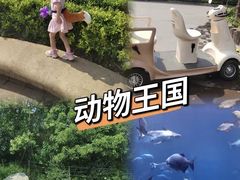 -郑州银基国际旅游度假区