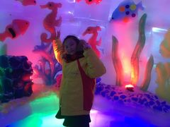 -世界之窗阿尔卑斯冰雪世界