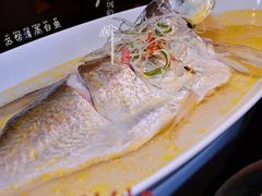 苏帮清蒸白鱼-苏帮袁Sue Cuisine(将台店)