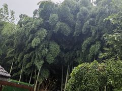 -江南天池