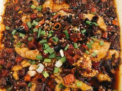 水煮牛肉-大眼锅贴饺子(河西店)