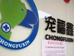 -宠福鑫动物医院(城北分院)
