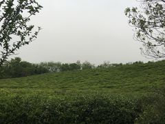 -南京市江宁方山