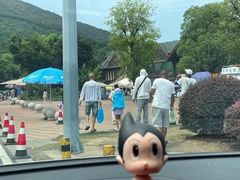 -苏州乐园森林水世界