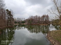 -梁鸿国家湿地公园