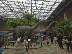 -国家自然博物馆