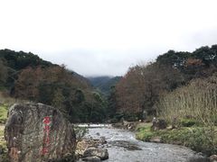 -广州市石门国家森林公园