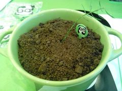 android_upload_pic-扬州喜满客国际影城(京华城店)