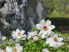 -上海交通大学(闵行校区)