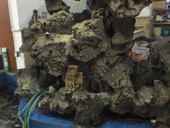 -白家寨子·山野白族菜(古城总店)