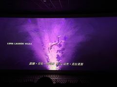 -SFC上影百联影城(八佰伴IMAX店)