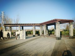 -永定河休闲森林公园