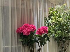 -双季花艺园艺市场(浦东店)