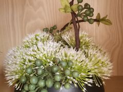 -马家斑.鲜鱼火锅(松湖万科店)
