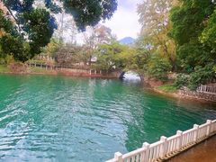 -广州市流溪河国家森林公园