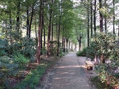 -新江湾城公园