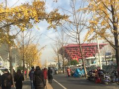 -东浩兰生上海世博展览馆