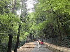 -灵岩山风景区