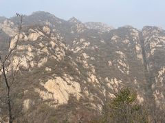 -大岭沟猕猴桃谷风景区